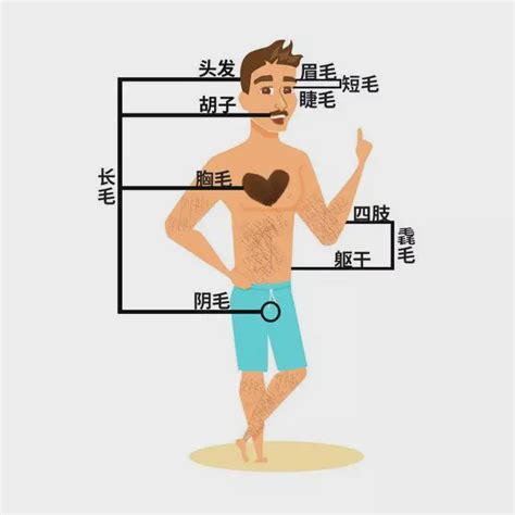 一根毛特別粗|身上有一根毛特別長，是長壽象徵，還是癌變前兆？